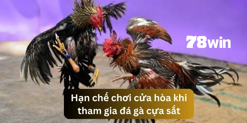 Đá Gà Cựa Sắt - Trải Nghiệm Các Trận Đối Kháng Sôi Động 4 Tránh đặt cược vào cửa hòa khi chưa chắc chắn
